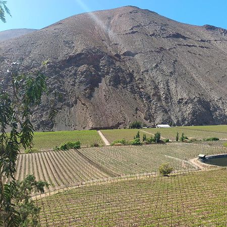 Ladera Loft Pisco Elqui别墅 外观 照片