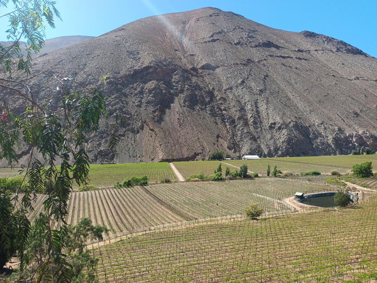 Ladera Loft Pisco Elqui别墅 外观 照片